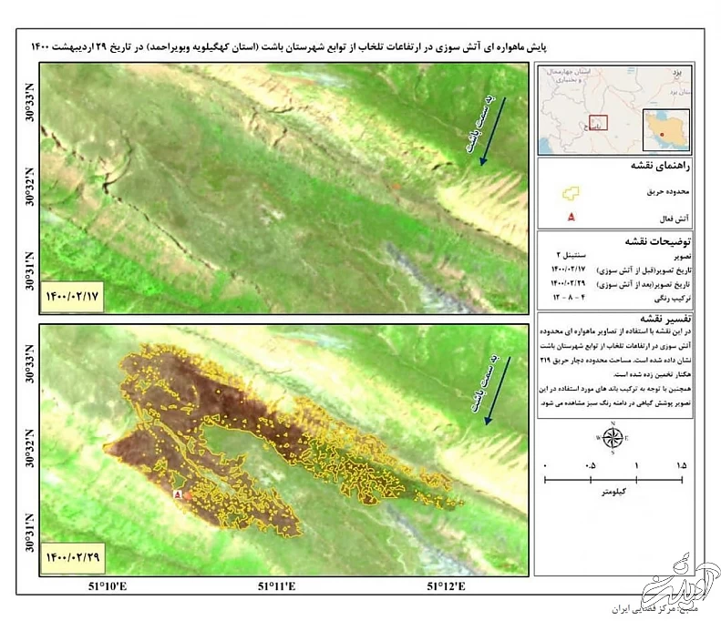 اینجا ۴ سال است که میسوزد/نتیجه آتشسوزی دیل؛ مرگ درختان صدساله